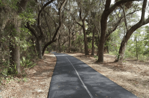 This Wildlife Hike Along The Alabama Coast Is A Nature Lover's Dream