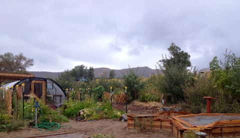 You’ll Want To Plan A Day Trip To Nevada’s Magical Butterfly House