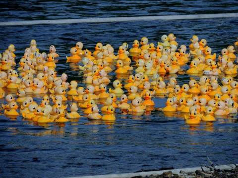 The Delightful River Festival In Virginia That Everyone Must Experience At Least Once