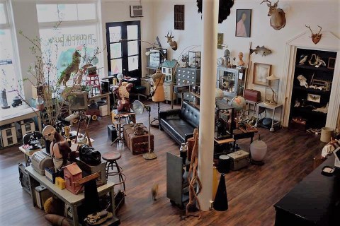 The Crazy One-Of-A-Kind Store You'll Only Find In Hawaii