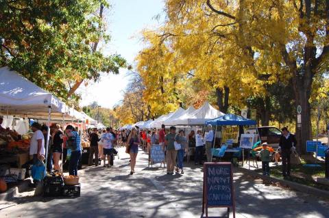 A Trip To This Gigantic Farmer's Market in Colorado Will Make Your Weekend Complete