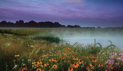 10 Dreamy Parks To Visit Around Cleveland For The Best Spring Blooms