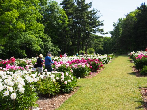 Here Are The 9 Most Colorful Places To Visit In Michigan This Spring