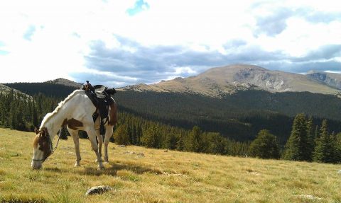 This Horseback Tour Through The Denver Countryside Will Enchant You In The Best Way