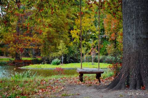 This Garden In Kansas Might Just Be The Most Beautiful In America