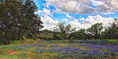 The 11 Very Best Places To Go In Texas This Spring