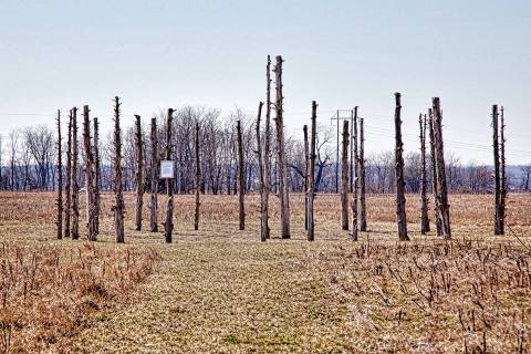 This Hike Takes You To A Place Missouri's First Residents Left Behind