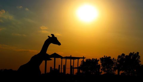 There’s A Wildlife Park In Kansas That’s Perfect For A Family Day Trip