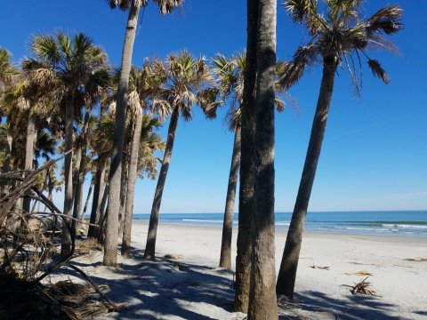 The One State Park In South Carolina That Stands Out From The Rest