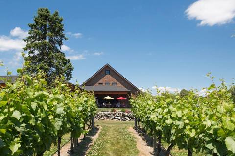 You Can Hike To This Picture Perfect Rhode Island Vineyard & Winery