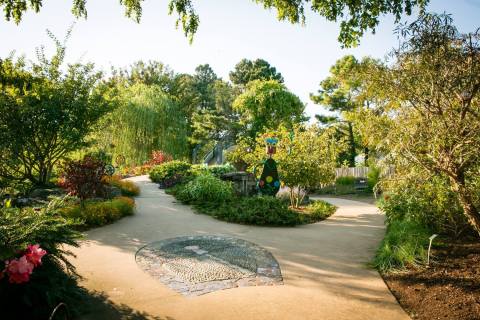 You’ll Want To Plan A Day Trip To Arkansas' Magical Butterfly House