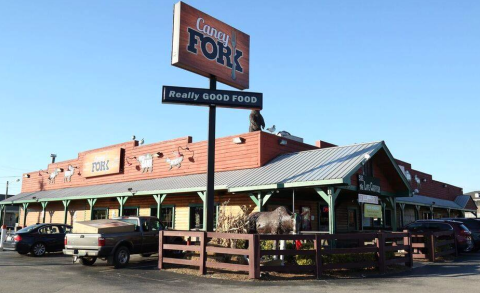 There's A Catfish Pond Right In The Middle Of This Unique Nashville Restaurant