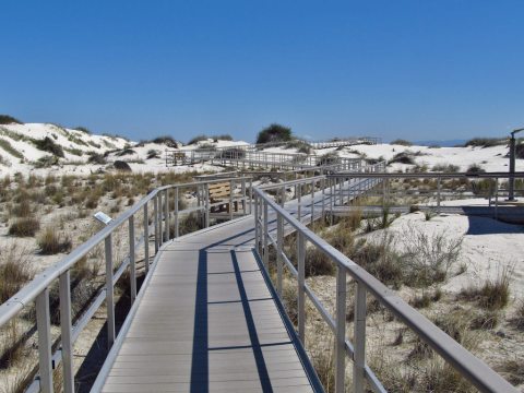 7 Totally Kid-Friendly Hikes In New Mexico That Are 1 Mile And Under