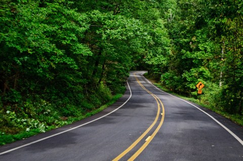 Arkansas' Tunnel Of Trees Is Positively Magical And You Need To Visit