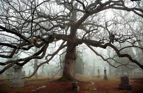 Stay Away From Cincinnati's Most Haunted Streets After Dark Or You May Be Sorry