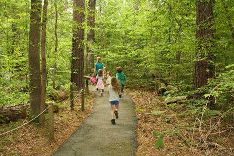 5 Totally Kid-Friendly Hikes In Louisiana That Are 1 Mile And Under