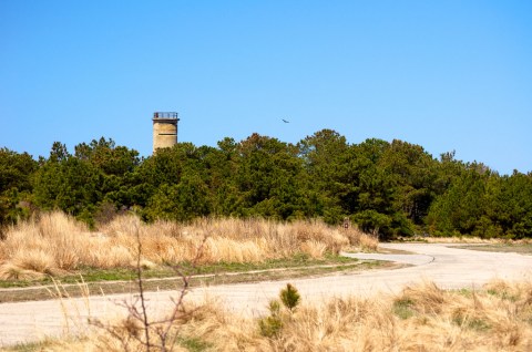 This Short Hike Will Take You To The Best View In Delaware