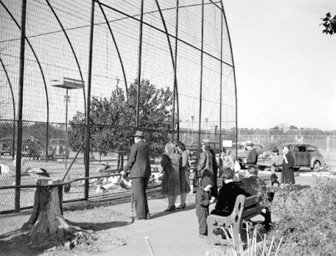 8 Nostalgic Photos Of The New Orleans Zoo That Will Take You Back In Time