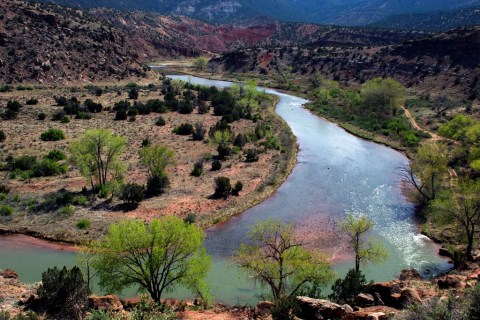 Here Are 8 Things Everyone In New Mexico Absolutely Loves