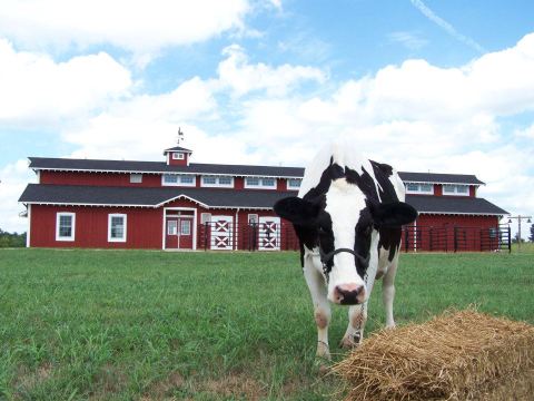 Your Kids Will Absolutely Love Visiting This Charming Farm Themed Park In Missouri