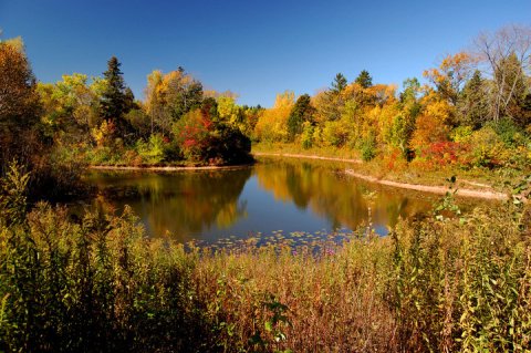 This Enchanting Spot In Milwaukee Is A Nature Lover's Dream