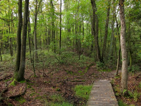 This One Easy Hike In New Jersey Will Lead You Someplace Unforgettable