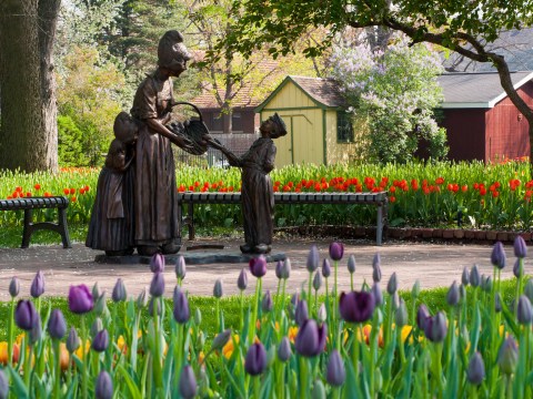 A Trip To Iowa's Neverending Tulip Field Will Make Your Spring Complete