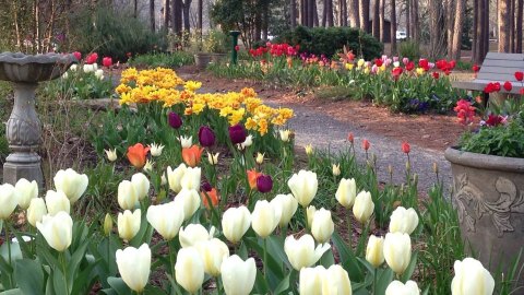 The Most Amazing Park In Louisiana You've Probably Never Heard Of