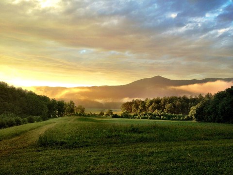 The Short Hike In Tennessee That Leads To A Panoramic, 360-Degree View