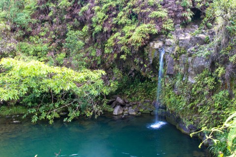 This Underrated Trail In Hawaii Leads To A Hidden Turquoise Swimming Hole