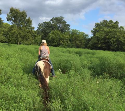 Juro Stables Horseback Tour Through The Tennessee Countryside Will Enchant You In The Best Way