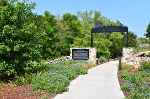 9 Picnic Perfect Austin Hikes That Will Make Your Spring Complete