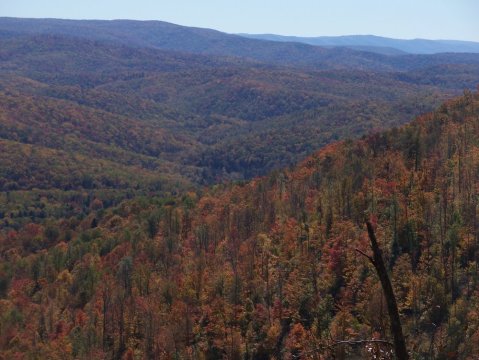 The One Incredible Trail That Spans The Entire State of West Virginia