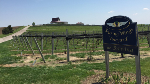 This One-Of-A-Kind Nebraska Winery Is Located In The Most Unforgettable Setting