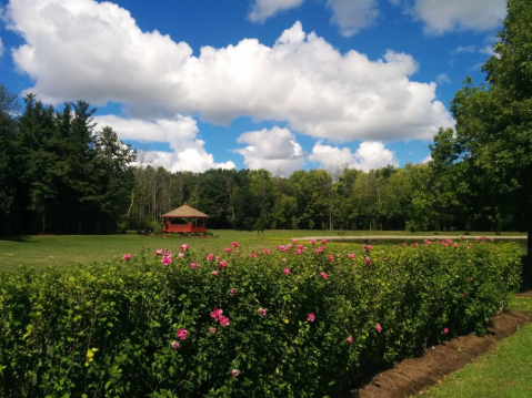 The Hidden Park That Will Make You Feel Like You've Discovered Buffalo's Best Kept Secret