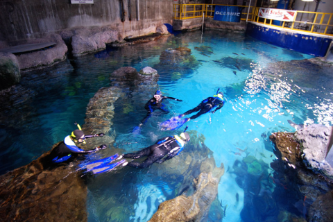 There's A Scuba Park Hiding In Colorado That’s Perfect For Your Next Adventure