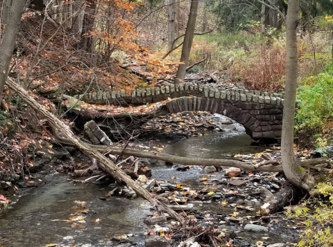 If There Are Only 5 Hikes You Ever Do Near Buffalo, Make Them These