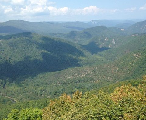 Most People Don't Know About The Many Caves Hiding In This West Virginia Canyon