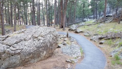 This Quaint Little Trail is the Shortest and Sweetest Hike in Wyoming