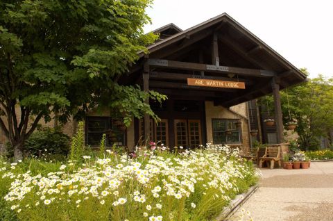 This Easy Wildflower Hike In Indiana Will Transport You Into A Sea Of Color