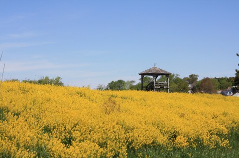 The Hidden Park That Will Make You Feel Like You've Discovered Boston’s Best Kept Secret