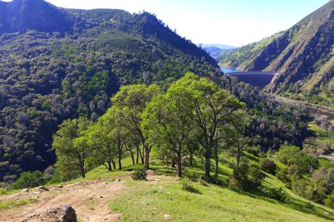 7 Totally Kid-Friendly Hikes In Northern California That Are 1 Mile And Under