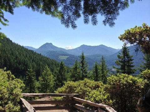 This Hidden Trail In Washington Leads To A Magnificent Archaeological Treasure