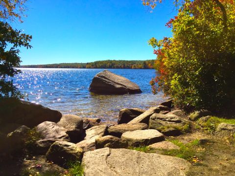 An Underrated Trail In Massachusetts, Douglas Forest Wallis Pond Loop Trail, Leads To A Hidden Turquoise Lake