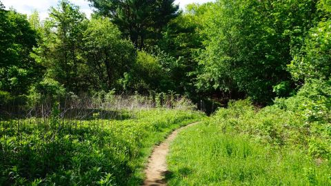 This Quaint Little Trail Is The Shortest And Sweetest Hike In Massachusetts