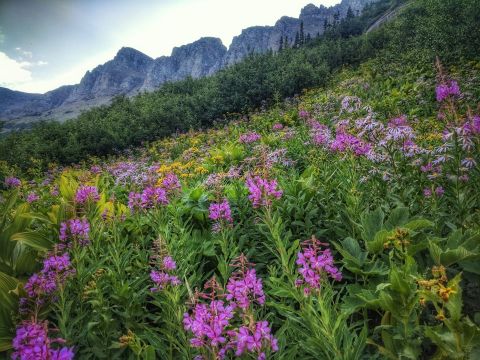 We Found The 8 Most Magical Hiking Trails In Montana For Spring