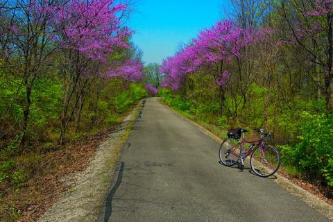 The One Incredible Trail That Spans The Entire State of Indiana