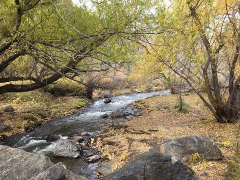 5 Totally Kid-Friendly Hikes Around Denver That Are 1 Mile And Under