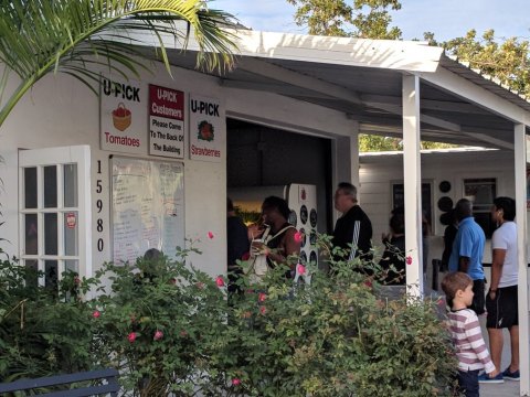 This Unassuming Florida Farm Stand Is Home To Some Of The Best Cinnamon Rolls In The Entire State