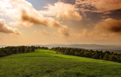 8 Totally Kid-Friendly Hikes In New Hampshire That Are 1 Mile And Under